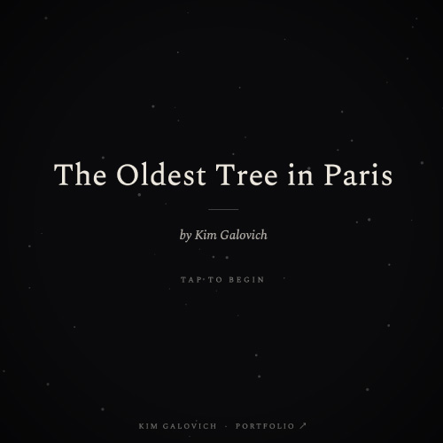 The Oldest Tree